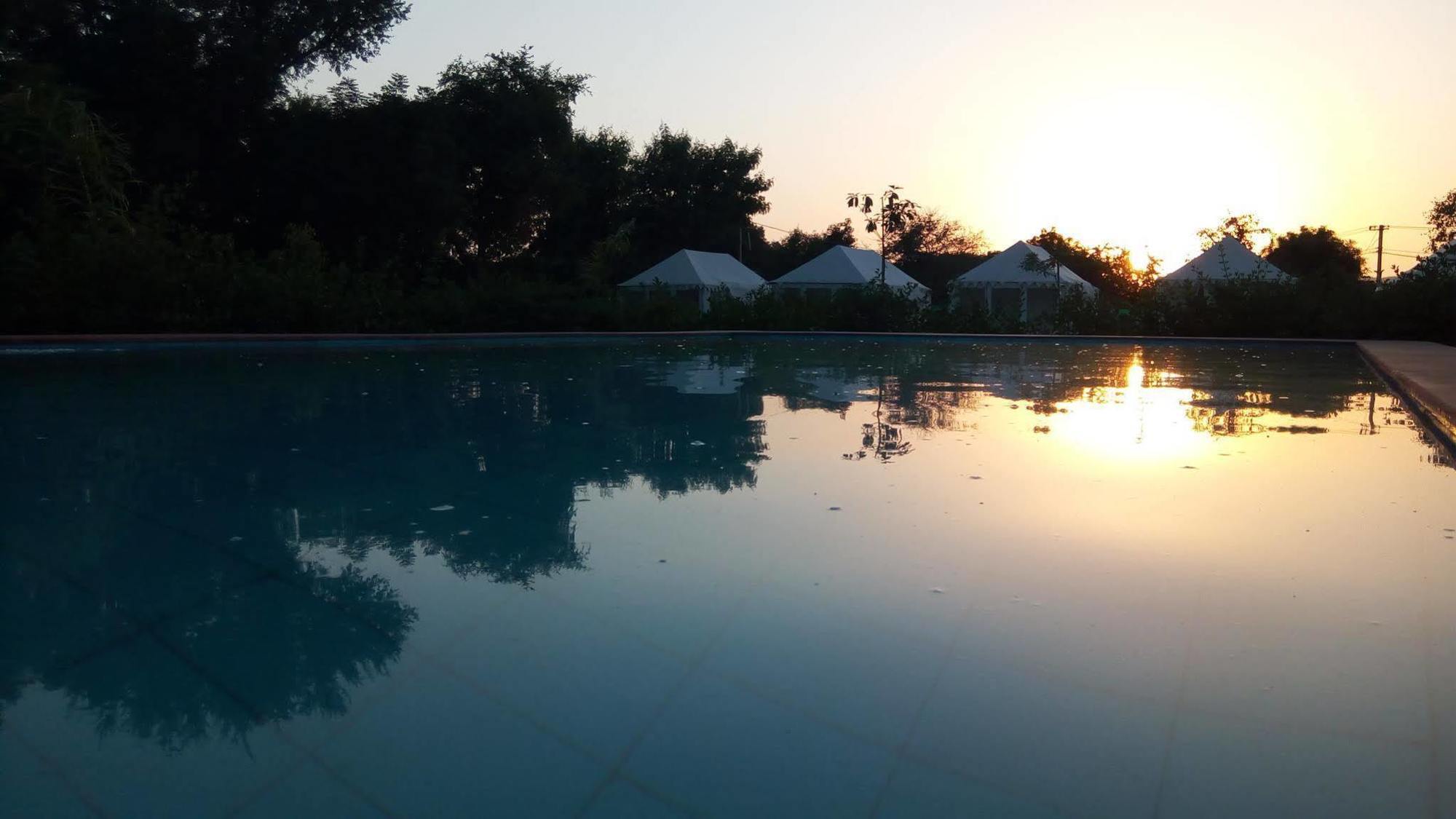 The Narayan Resort Farm Stay Pushkar Extérieur photo